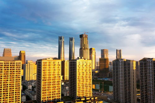 房地產(chǎn)投資環(huán)境全景掃描 機(jī)遇、挑戰(zhàn)與未來趨勢(shì)